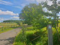 Die weite, grüne Landschaft im Hohen Westerwald bietet einen atemberaubenden Ausblick, der die Seele erfrischt. Über sanfte Hügel, vollem Waldgebieten und weiten Feldern erstreckt sich das Panorama rund um Rennerod, Imtraut und Gemünden.