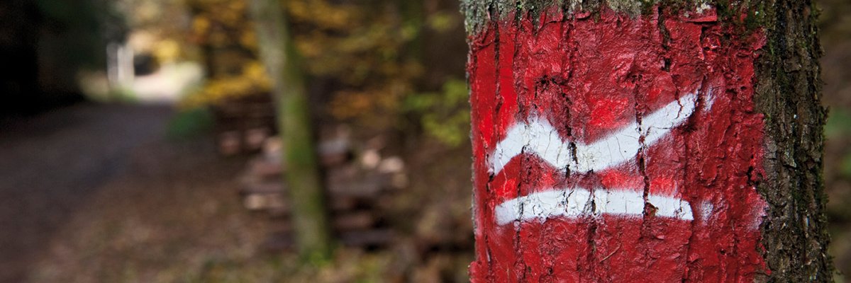 Der Rothaarsteig ist ein 154 km langer Wanderweg, der durch das Rothaargebirge führt und spektakuläre Ausblicke auf Wälder, Täler und Hügel bietet. Besonders schön hier in Rennerod und durch unsere Umgebung, die Schönheit des Westerwaldes erleben möchten.