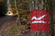 Der Rothaarsteig ist ein 154 km langer Wanderweg, der durch das Rothaargebirge führt und spektakuläre Ausblicke auf Wälder, Täler und Hügel bietet. Besonders schön hier in Rennerod und durch unsere Umgebung, die Schönheit des Westerwaldes erleben möchten.