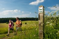 Die Wanderung um die Fuchskaute bietet einen faszinierenden Blick auf die Natur des Westerwaldes. Die höchste Erhebung des Westerwaldes. Ein ideales Ziel für Naturliebhaber.