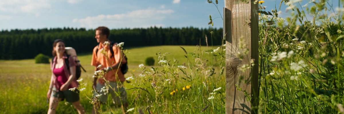 Die Wanderung rund um die Fuchskaute im Westerwald ist ein echtes Naturerlebnis. Auf gut ausgeschilderten Wegen führt die Strecke durch idyllische Wälder, vorbei an klaren Bächen und weitläufigen Wiesen. Die Fuchskaute, als höchste Erhebung des Westerwaldes, bietet nicht nur ein imposantes Panorama, sondern auch vielfältige Einblicke in die Flora und Fauna der Region. Ein wahres Highlight für alle, die die Ruhe und Weite des Westerwaldes auf einer Wanderung erleben möchten. Die Wanderung um die Fuchskaute bietet einen faszinierenden Blick auf die Natur des Westerwaldes. Die höchste Erhebung des Westerwaldes. Ein ideales Ziel für Naturliebhaber.