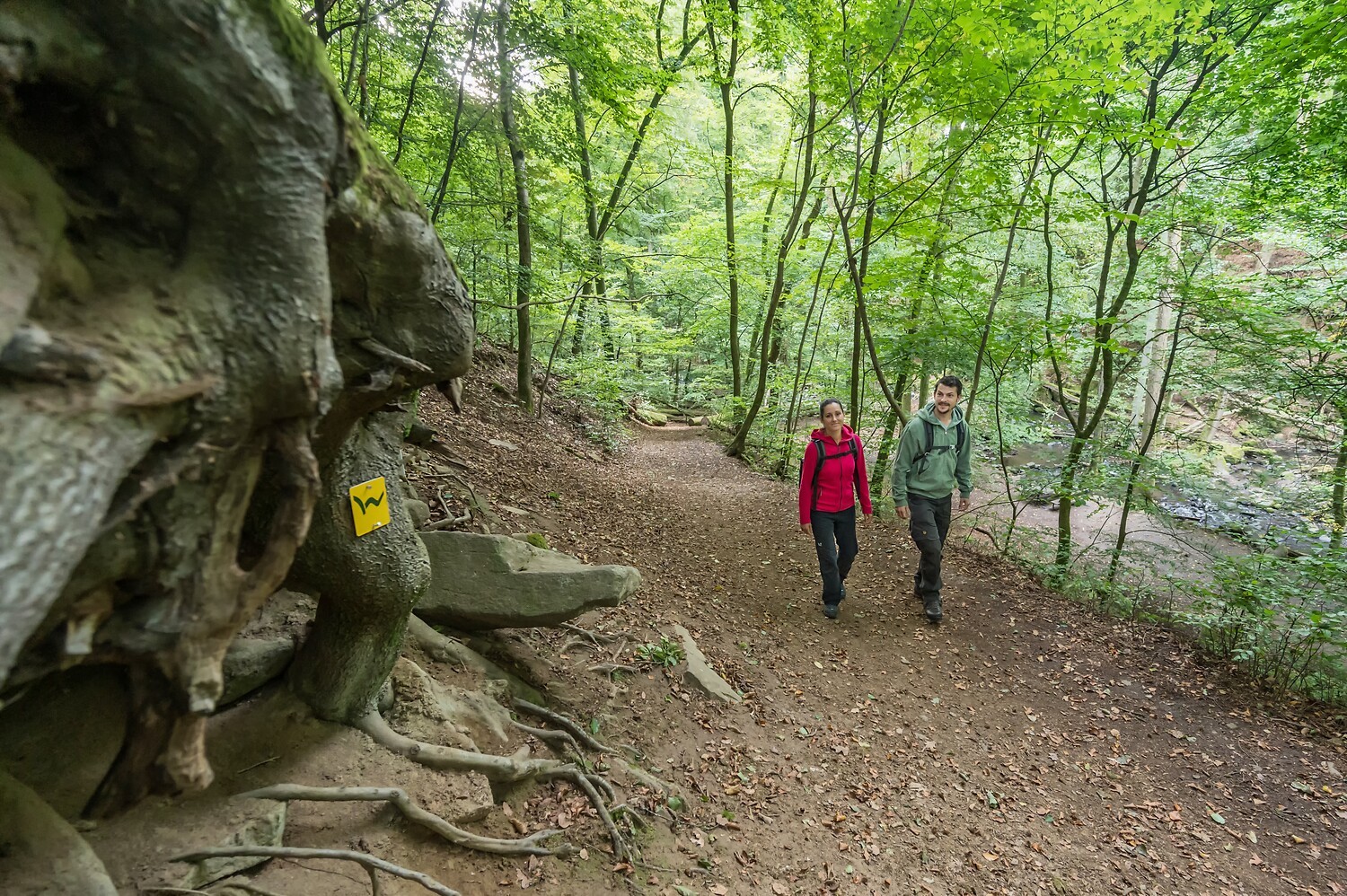 Die Wäller Tour „Hohe Hahnscheid“ im oberen Westerwald begeistert atemberaubende Aussichtspunkten. In den Dörfern Irmtraut, Gemünden, Langendernbach und Seck laden Informationstafeln und QR-Codes zu spannenden Entdeckungen ein.