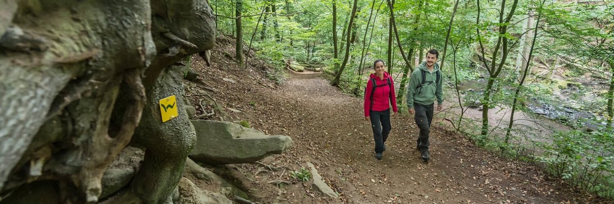 Die Wäller Tour „Hohe Hahnscheid“ im oberen Westerwald führt durch eine atemberaubende Landschaft, die sowohl historisch als auch geologisch spannende Einblicke bietet. Auf den 10,6 km des „Traumtour“-Wanderweges erwartet Wanderer nicht nur beeindruckende Aussichtspunkte, sondern auch viele informative Stationen entlang des Weges. In den Dörfern Irmtraut, Gemünden, Langendernbach und Seck kann man beim Vorbeigehen mehr über die Region erfahren – und dank QR-Codes gibt es noch tiefere Einblicke in die Geschichte und Natur. Die Wäller Tour „Hohe Hahnscheid“ im oberen Westerwald begeistert atemberaubende Aussichtspunkten. In den Dörfern Irmtraut, Gemünden, Langendernbach und Seck laden Informationstafeln und QR-Codes zu spannenden Entdeckungen ein.