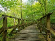 Holzbachschlucht ist ein Naturschutzgebiet mit sehenswertem Naturerlebnis für mit Rundwanderweg durch Eichen- und Mischwald. Die Holzbrücke führt über den Bachlauf der Holzbach. Geniessen Sie die frische Luft und Atmen Sie durch. Die Holzbachschlucht ist ein in sich ursprünglich erscheinendes Naturschutzgebiet. Ein mit Felsen und dichtem Wald durchdrungene Schlucht in der Nähe von Seck, bei Rennerod im Hohen Westerwald. Ein besonderes Naturerlebnis zum Erholen mit Rundwanderweg durch Eichen- und Mischwald. Die Holzbrücke führt über den Bach Holzbach.