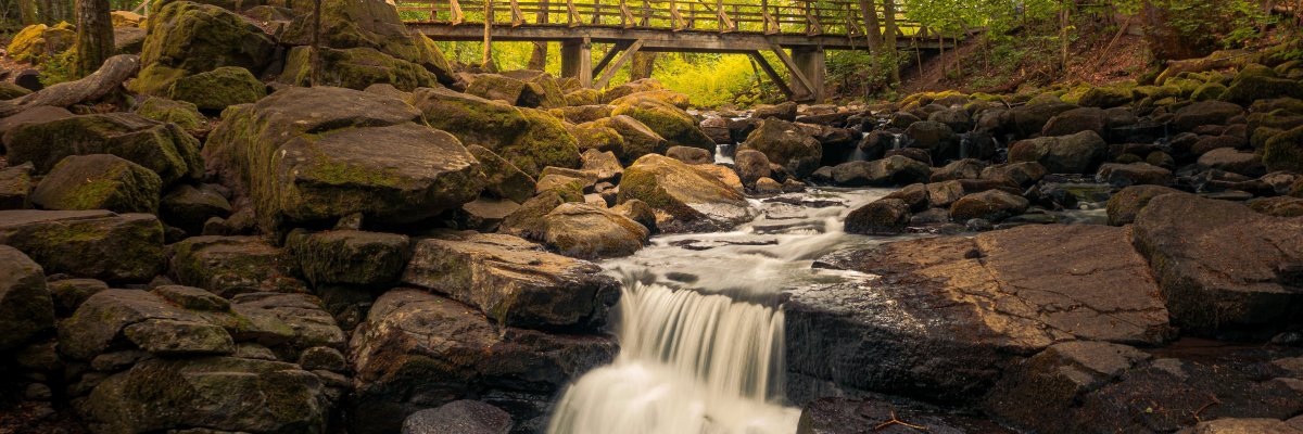 Die Holzbachschlucht ist eins beeindruckendes Naturschutzgebiet in der Nähe von Seck, bei Rennerod im Hohen Westerwald. Der Rundwanderweg führt die Besucher durch die eines-erbwechslungsreichen- und Mischwald, in der sie sie die Ruhe und die Schönheit der genießenen Natur. Eine Holzbrücke überspannt den Holzbach, die durch die Schlucht die Schlucht und dem Gebieter eine dem Gebieter Hand erbenen Namen. Die Holzbachschlucht ist ein wahres Naturjuwel, das die Besuchern ein authentisches Naturerlebnis. Die Holzbachschlucht ist ein eindrucksvolles Naturschutzgebiet mit Brücke, das durch die eigene, seine Schönheit aus. Diese Schlucht. Die Stille, die Artenvielfalt und die faszinierende Schlucht mit Wasserbachlauf Holzbach lassen die Seele baumeln.