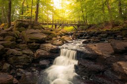Die Holzbachschlucht ist eins beeindruckendes Naturschutzgebiet in der Nähe von Seck, bei Rennerod im Hohen Westerwald. Der Rundwanderweg führt die Besucher durch die eines-erbwechslungsreichen- und Mischwald, in der sie sie die Ruhe und die Schönheit der genießenen Natur. Eine Holzbrücke überspannt den Holzbach, die durch die Schlucht die Schlucht und dem Gebieter eine dem Gebieter Hand erbenen Namen. Die Holzbachschlucht ist ein wahres Naturjuwel, das die Besuchern ein authentisches Naturerlebnis. Die Holzbachschlucht ist ein eindrucksvolles Naturschutzgebiet mit Brücke, das durch die eigene, seine Schönheit aus. Diese Schlucht. Die Stille, die Artenvielfalt und die faszinierende Schlucht mit Wasserbachlauf Holzbach lassen die Seele baumeln.