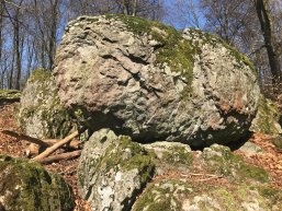 Auf der Wanderung erleben Sie eine herrliche Aussicht auf die umliegenden Täler und Wälder. In besonderer Ruhe und Idylle bietet der Butterweck im Hohen Westerwald ein tolles Wanderziel zum Geniessen. Der Wanderweg zum Butterweck führt mit weitem Panoramablick oberhalb von Rennerod zum Ziel. Die Felsenformation im Hoher Westerwald ist "steinalt". Im Hohen Westerwald ist der Butterweck ein einzigartig erscheihnendes Geotop.