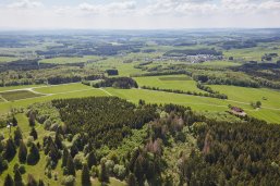 Die Fuchskaute, mit 657,3 Metern die höchste Erhebung des Westerwaldes, bietet einen beeindruckenden Panoramablick über die sanften Hügel und dichten Wälder des Hohen Westerwaldes. Ein weitläufiges Wegenetz lädt Wanderer ein, die vielfältige Natur des Naturschutzgebiets zu erkunden und die frische Luft zu genießen. Dieses Ziel bietet Ruhe und Abgeschiedenheit, ideal für Naturliebhaber, die abseits des Trubels Erholung suchen. Die Fuchskaute, die höchste Erhebung im Westerwald, bietet einen weiten Panoramablick und zahlreiche Wanderwege im Naturschutzgebiet