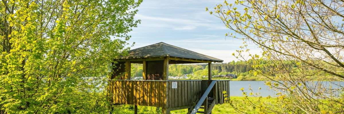 Im Frühling erwacht die Krombachtalsperre bei Rennerod im Hohen Westerwald zu neuem Leben. Die ersten Sonnenstrahlen bringen die umgebenden Wälder und Wiesen in lebendige Farben, während das Wasser der Talsperre sanft in der Sonne glitzert. Vom Aussichtsturm im Naturschutzgebiet aus bietet sich ein atemberaubender Panoramablick auf die Landschaft. Die grünen Ufer laden zu entspannten Spaziergängen und Wanderungen ein. Gut ausgeschilderte Wege führen durch die frische, blühende Natur und bieten die perfekte Gelegenheit, den Frühling in seiner ganzen Pracht zu erleben – fernab vom Trubel. Die Sonnenstrahlen des Frühlings erleuchten die Krombachtalsperre und werfen sanfte Lichtspiele auf das glitzernde Wasser. Vom Aussichtsturm aus lässt sich die erwachende Natur in voller Schönheit mit Panoramablick erleben.