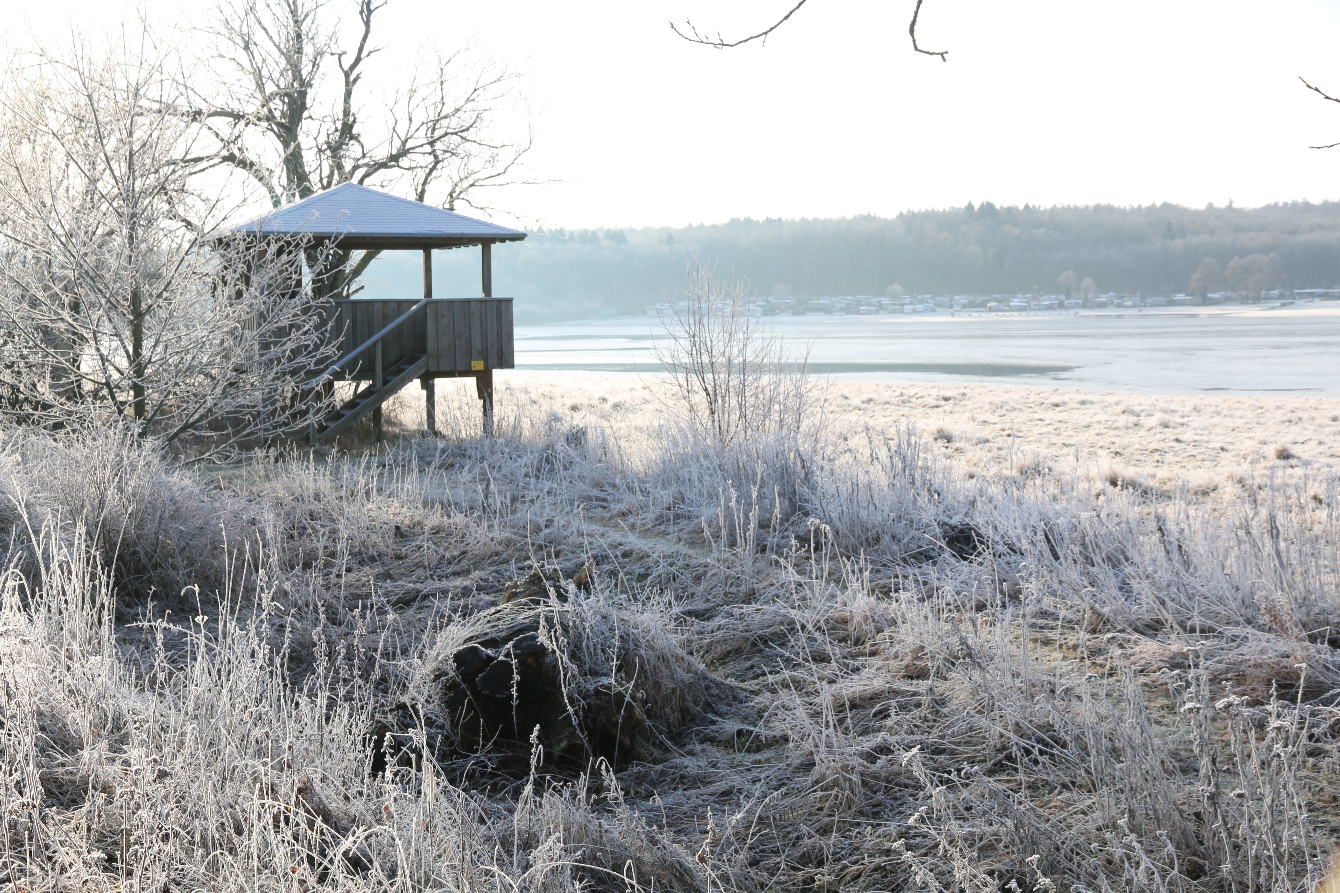 Winterliche Krombachtalsperre bei Rennerod im Hohen Westerwald mit schneebedeckten Ufern und zugefrorener Wasserfläche. Mitten im Naturschutzgebiet führt der Westerwaldsteig hier vorbei. Wunderbareres Erlebnis auch im Winter.