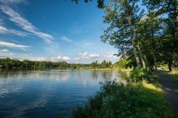 Der Secker Weiher in Rennerod, eingebettet im Hohen Westerwald, präsentiert sich an einem strahlenden Sommertag mit glitzerndem, ruhigem Wasser, umgeben von saftig grünen Wiesen und starken Bäumen. Am Ufer erstreckt sich ein einladender Campingplatz, Kinder spielen fröhlich am Wasser. Diese idyllische Szenerie bietet eine perfekte Kombination aus Entspannung und Abenteuer für Groß und Klein. Im Vergleich zu anderen Ausflugszielen der Region besticht der Secker Weiher durch seine familienfreundliche Atmosphäre und die harmonische Einbettung in die unberührte Natur des Hohen Westerwaldes. Der Secker Weiher in Rennerod im Hohen Westerwald an einem sonnigen Tag, mit ruhigem Wasser, umgeben von Wiesen und Bäumen, einem belebten Campingplatz und spielenden Kindern.