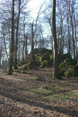 Der Seitenstein, eine Basaltformation in der Nähe von Rennerod im Hohen Westerwald, erhebt sich etwa 25 Meter über die umgebende Waldlandschaft. Entstanden vor rund 25 Millionen Jahren durch vulkanische Aktivitäten, zieht dieses Naturdenkmal heute Wanderer und Naturliebhaber an. Gut ausgeschilderte Pfade führen durch blühende Wiesen und dichte Wälder bis zu dem Felsen, der von einem inneren und äußeren Ringwall umgeben ist – ein Hinweis auf eine mögliche keltische Kultstätte. Im Vergleich zu anderen geologischen Sehenswürdigkeiten der Region fasziniert der Seitenstein durch seine besondere Form und die mystischen Geschichten von Zwergen und versteckten Schätzen. Der Seitenstein nahe Rennerod im Hohen Westerwald ist eine 25 Meter hohe Basaltformation, umgeben von Wald und Wanderwegen.
