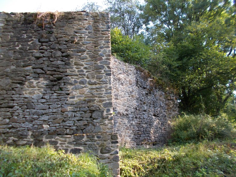 Die Klosterruine Seligenstatt im Hohen Westerwald ist eine historische Stätte, die von der Vergangenheit eines Zisterzienserklosters erzählt. Umgeben von Natur bietet sie heute einen ruhigen Ort für Wanderer und Geschichtsfreunde bei Gemünden, Rennerod.